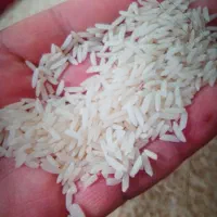 برنج هاشمی اصل