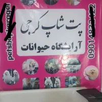 آرایشگرحیوانات نیازمندیم،استخدام آرایشگاه سگ وگربه|استخدام درمانی، زیبایی، بهداشتی|قدس, شهر‌قدس|دیوار