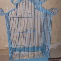 قفس عروس هلندی