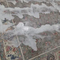 قالیشویی بایسته عضو رسمی اتحادیه
