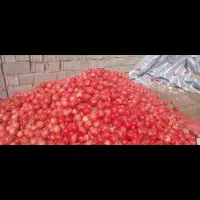 فروش انار|عمدهفروشی|بختگان, |دیوار