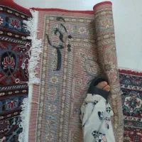 فرش درحد نو|فرش|نیشابور, فرح بخش|دیوار