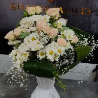 هر شاخه رز هلندی سر درشت وتازه 50تومن