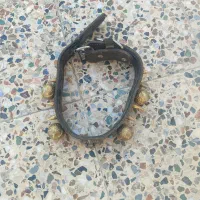 قلاده چرم گاومیش|لوازم جانبی حیوانات|مبارکه, |دیوار