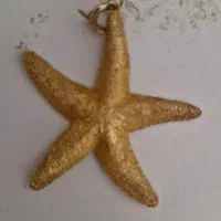 دستبند و ستاره ی شنی طلا