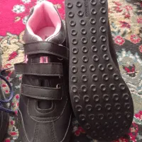 حراجی|حراج|شیراز, شهرک مهدی‌آباد|دیوار