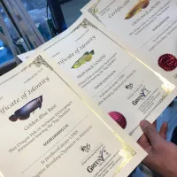 ماهی اکواریوم فیلتر پمپ اروانا دیسکس تجهیزات|ماهی|اصفهان, سرچشمه|دیوار