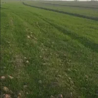 زاعتی-فروش-زمین-کشاورزی