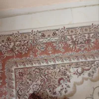 فرش نگین مشهد