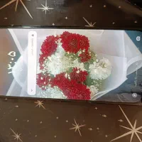 گوشی شیائومی redmi not 11poro  s|موبایل|صدرا-فارس, فاز ۱|دیوار