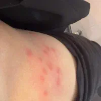 سمپاشی تضمینی ساس سوسک موش۱۰۰٪(رسالت پنچتن گلشهر )|خدمات نظافت|مشهد, طلاب|دیوار