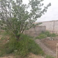 باغ|فروش خانه و ویلا|گلبهار, نوبهار|دیوار