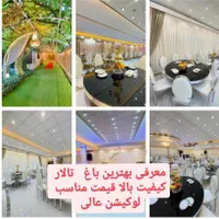 موزیک دیجی خواننده اجاره باند نورپردازی دف نوازی|خدمات پذیرایی، مراسم|فردیس, منظریه|دیوار