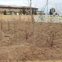 زمین-باغچه-آماده