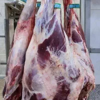 جهت تکمیل تیم قصابی