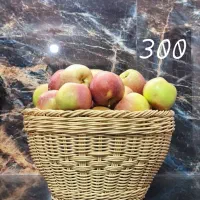 جا میوه ای جان قاشقی سینی و...