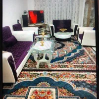 دوجفت  فرش۱۲متری ۷۰۰شانه