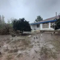 فروش زمین و خانه قدیمی|فروش زمین و ملک کلنگی|رضوانشهر, |دیوار