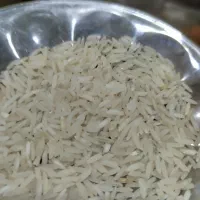 برنج فجر محلی سوزنی ۲۵۰ نیمدانه فجر ۱۸۰