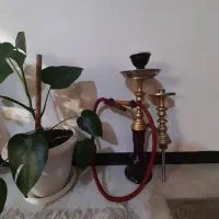 د‌و عدد قلیان