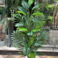 درختچه مصنوعی کنتیا کامرون