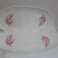 دیس  ماهی خوری ملامین