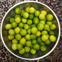 لیموترش شیرازی دستچین شده بدون لک و خرابی