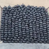 فروش زغال بسته بندی بلوط وارسال درب مغازه