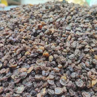 کشمش سرکه ای|عمده‌فروشی|قرچک, زیبا شهر|دیوار