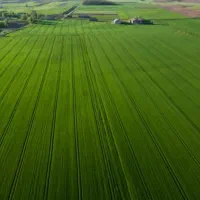۴ هکتار زمین کشاورزی یکجا بصورت سند رسمی