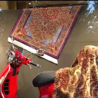 قالیشویی فردوش شرق وغرب کاشانی کوهساردریاچه المپیک