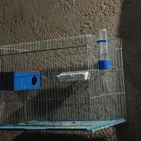 قفس پرنده