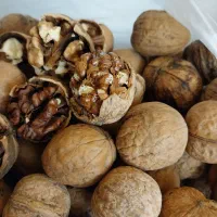 گردو محلی کوار|خوردنی و آشامیدنی|شیراز, آزادگان|دیوار