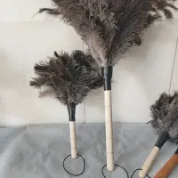 تولید کننده گردگیر شترمرغ بصورت عمده