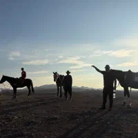 آموزش و پانسیون سوارکاری