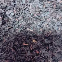 چای شمال درجه یک