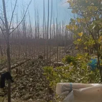 فروش-زمین-1000-متری