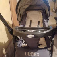 کالسکه دلیجان