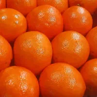 سورتینگ پرتغال و نارنگی نیرو دارم