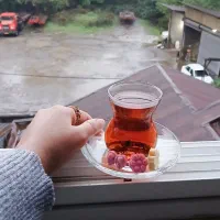 قند و‌نبات گیاهی