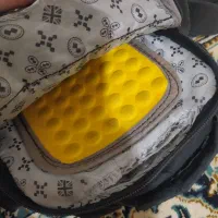 کیف کت نو نو|کیف، کفش، کمربند|شیراز, قلات|دیوار