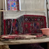 فرش زرنیم هریس تاجری