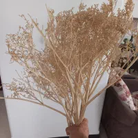 گلدان با گل خشک|گل مصنوعی|تهران, اختیاریه|دیوار