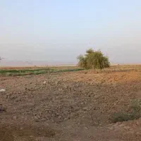 فروش زمینهای کشاورزی صنعتی