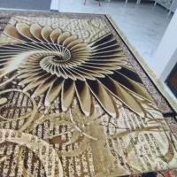 فرش ۳ در ۲|فرش|بوشهر, |دیوار