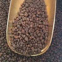 فروش قهوه بصورت عمده