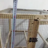 قفس|لوازم جانبی حیوانات|بم, |دیوار