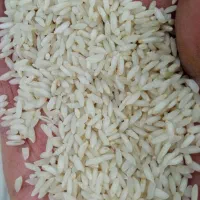 برنج چمپا میداوود|خوردنی و آشامیدنی|میانکوه, |دیوار