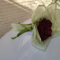 گل ربانی|گل مصنوعی|شیراز, اصلاحنژاد|دیوار