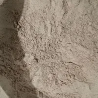 پودر سنجد تازه